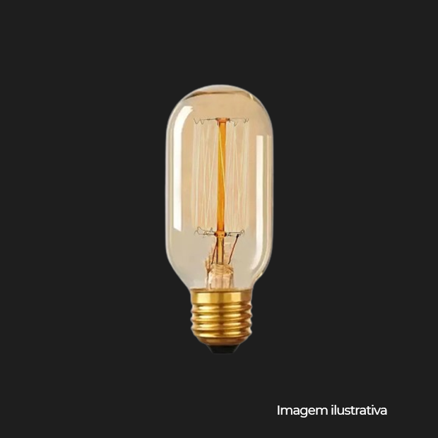 LAMPADA FILAMENTO DE CARBONO 40W T45 127V - COD 11050129