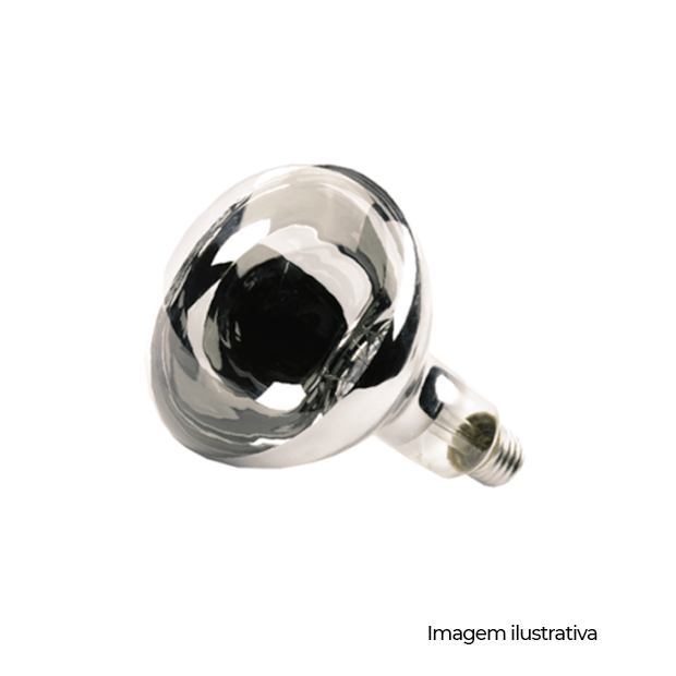 LAMP SECAGEM 250W 127V - COD 01798